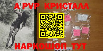 гашик Новозыбков
